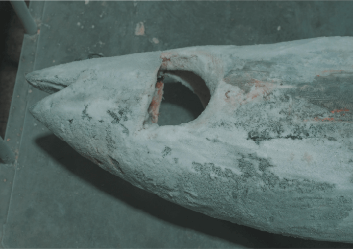 超低温冷凍へのこだわり